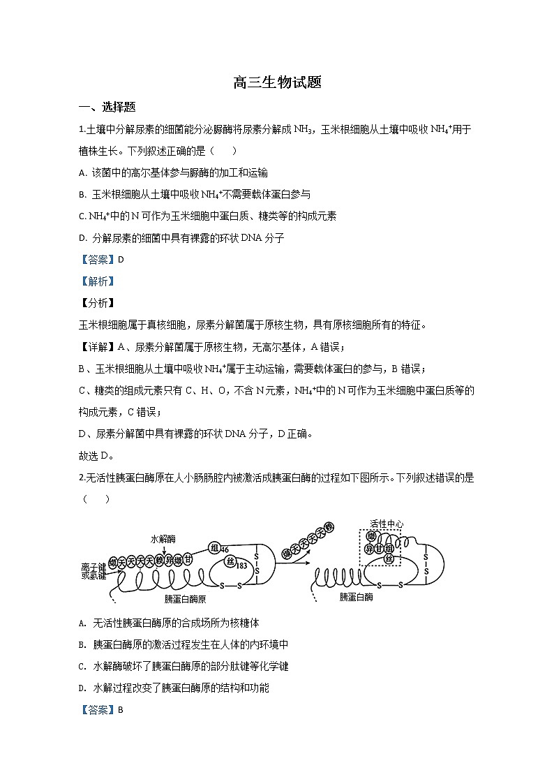 山东省潍坊市昌乐县2020届高三4月模拟生物试题01