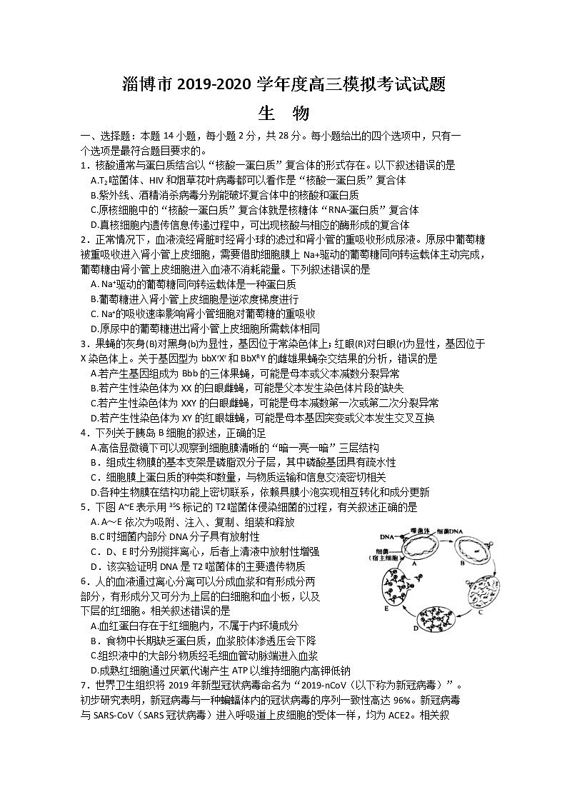 山东省淄博市2020届高三第一次模拟考试(4月)生物试题第1页