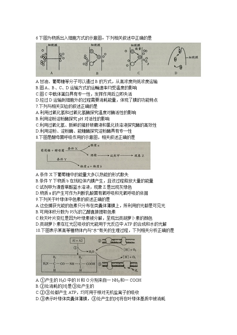 山西省吕梁市2020届高三上学期第一次模拟考试生物试题第2页