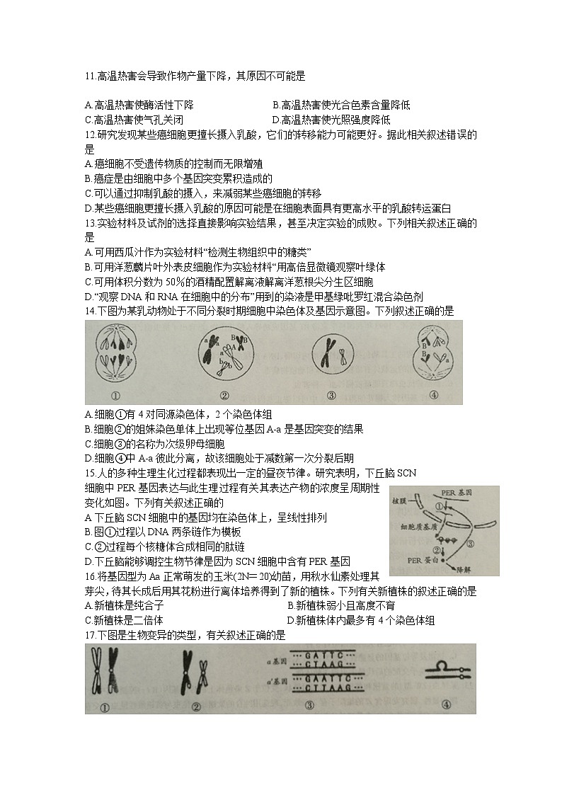 山西省吕梁市2020届高三上学期第一次模拟考试生物试题第3页
