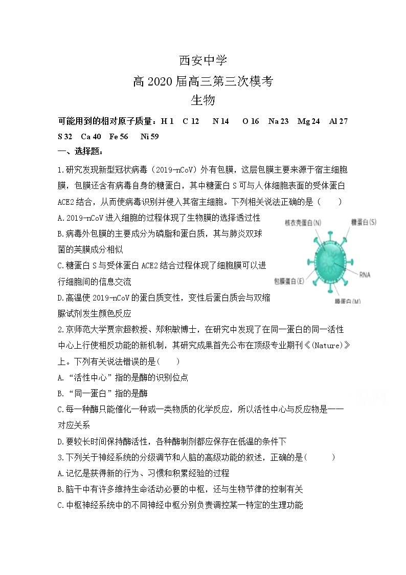 陕西省西安中学2020届高三第三次模拟考试生物试题01