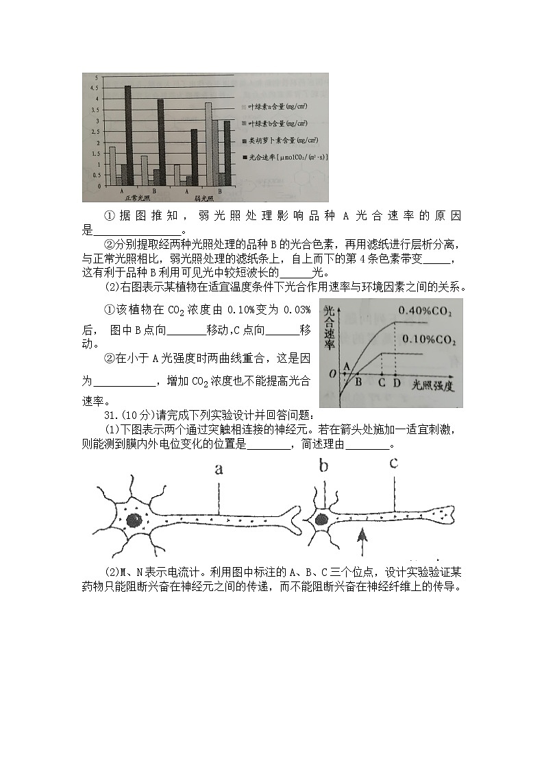 河南省开封市2020届高三第三次模拟考试理科综合生物试题03