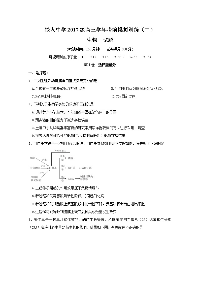 黑龙江省大庆市铁人中学2020届高三考前模拟训练（二）生物试题01