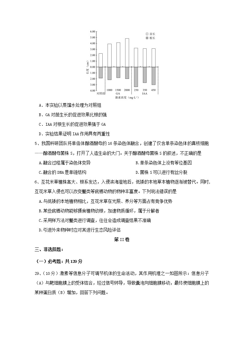 黑龙江省大庆市铁人中学2020届高三考前模拟训练（二）生物试题02