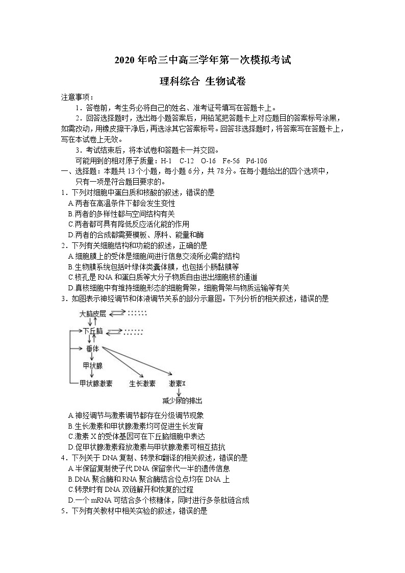 黑龙江省哈尔滨市第三中学2020届高三下学期第一次模拟考试（5月）生物试题01