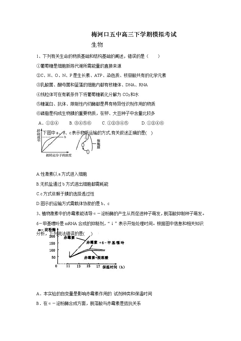 吉林省梅河口市第五中学2020届高三下学期模拟考试生物试题第1页