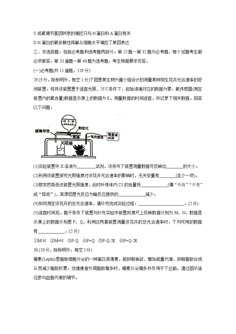 江西省宜春市2020届高三5月模拟考试 生物03