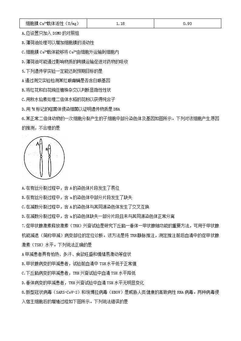 山东省滨州市2020届高三模拟考试生物试题第2页