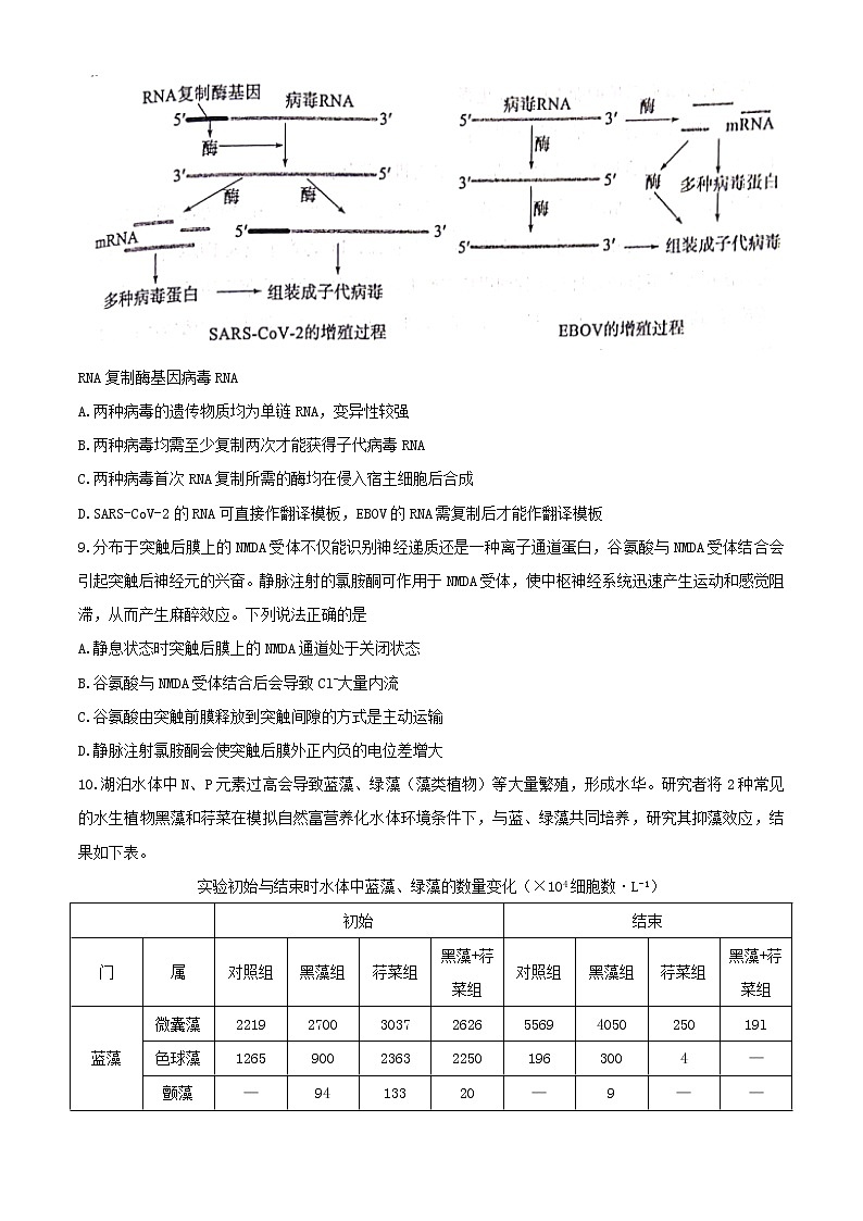 山东省滨州市2020届高三模拟考试生物试题第3页
