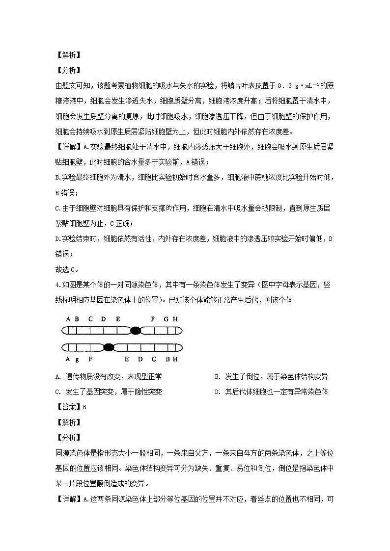 河南省名校联盟2020届高三11月教学质量检测生物试题03