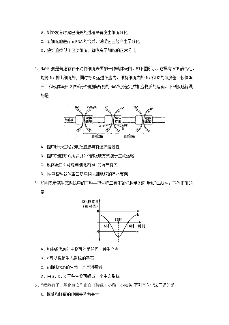 贵州省铜仁第一中学2020届高三下学期防疫期间网上周考(四)生物试题第2页