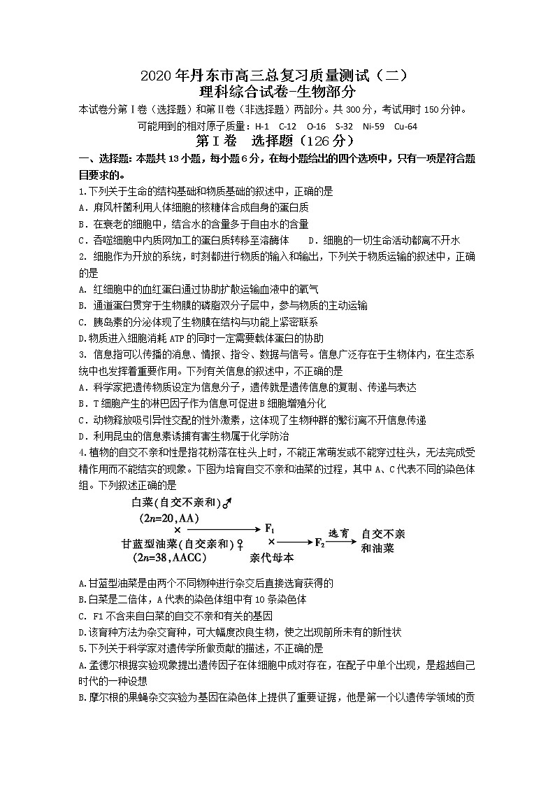 辽宁省丹东市2020届高三下学期总复习质量测试(二)理综-生物试题01