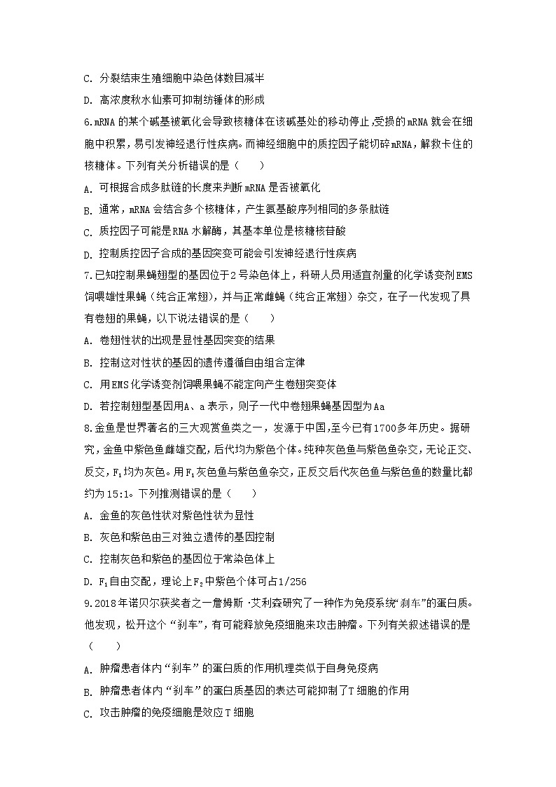 山东省济宁一中2020届高三下学期二轮质量检测生物试题第3页