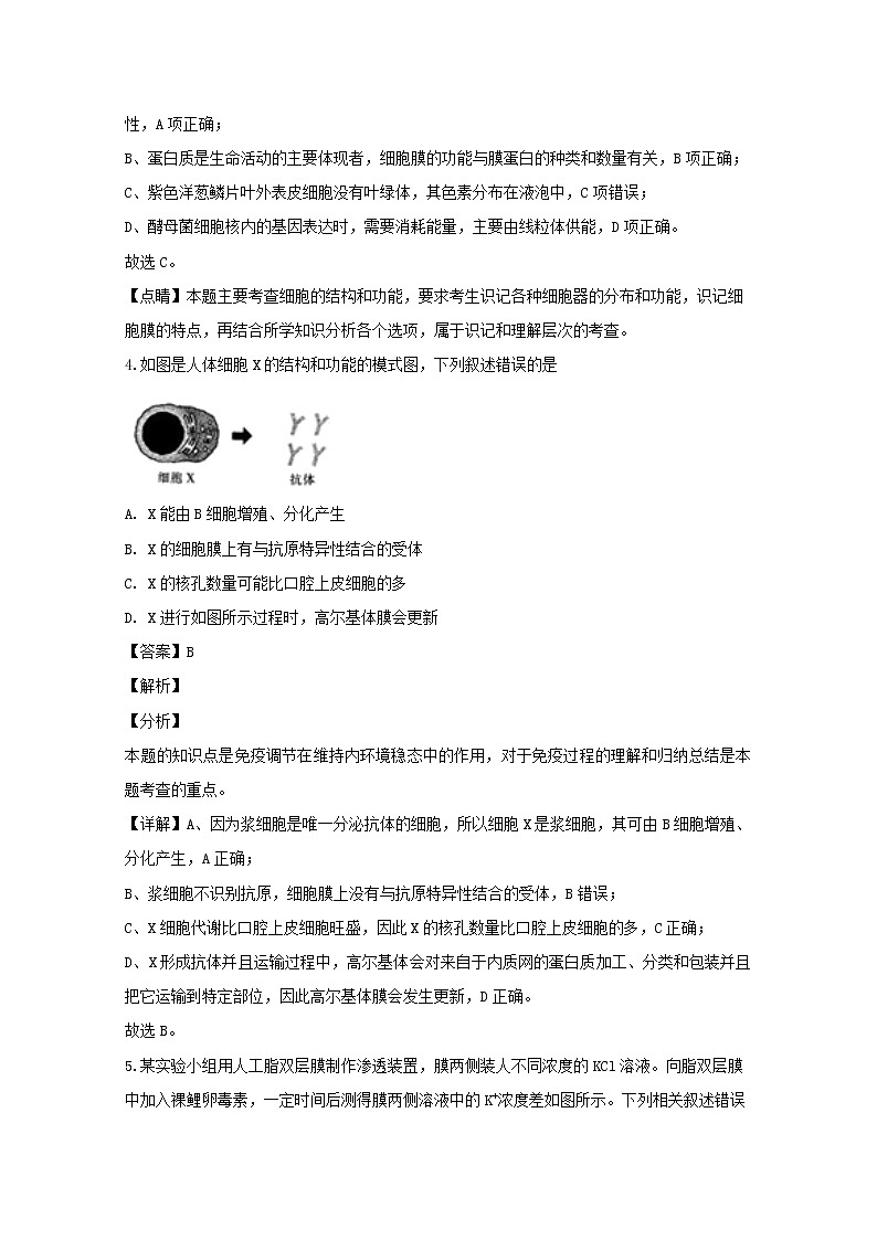 河南省2020届高三上学期阶段性考试(四)生物试题03