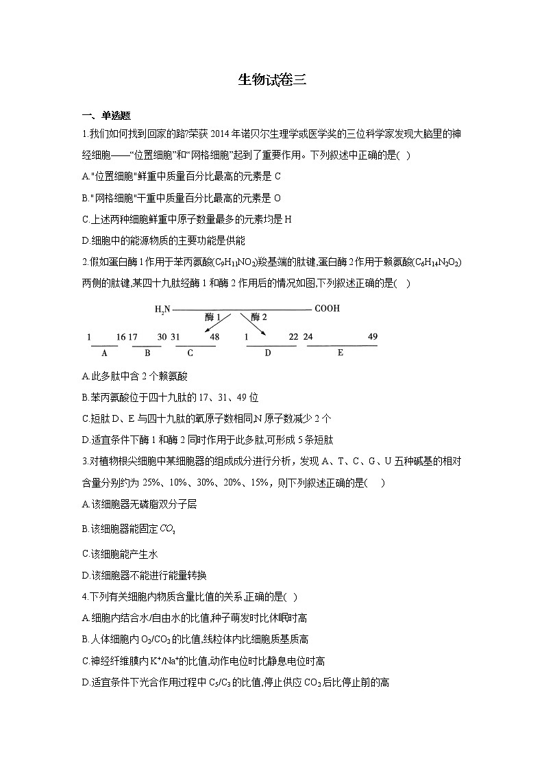 黑龙江省安达七中2020届高三上学期寒假考试(3)生物试卷01