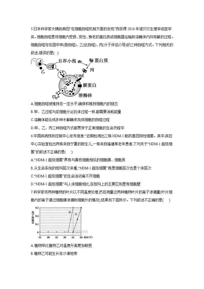 黑龙江省安达七中2020届高三上学期寒假考试(3)生物试卷02