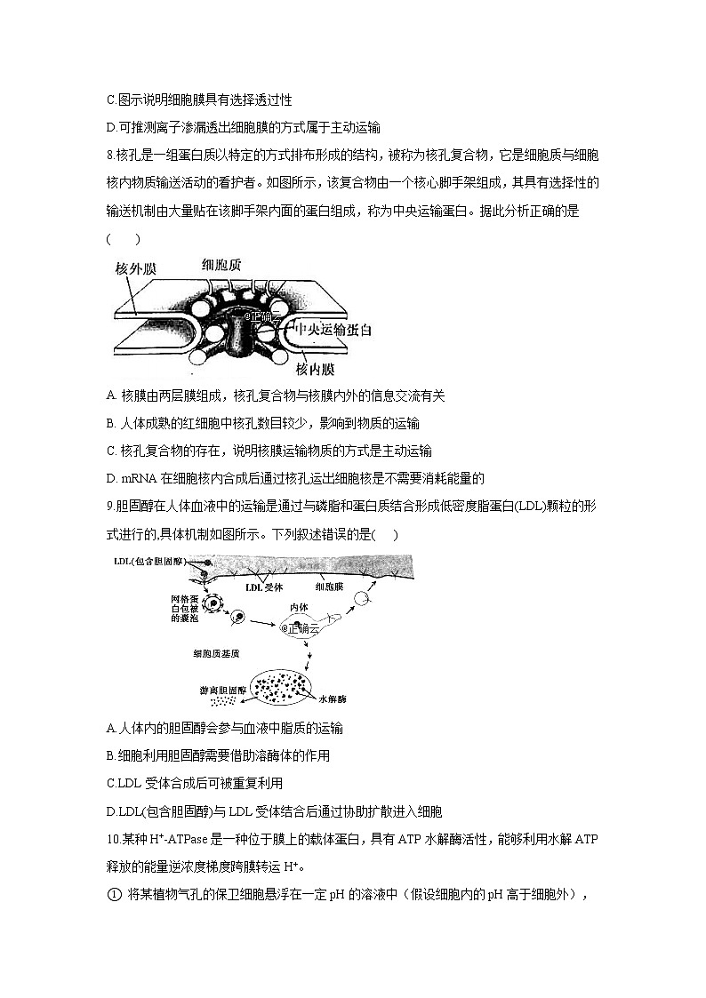 黑龙江省安达七中2020届高三上学期寒假考试(3)生物试卷03