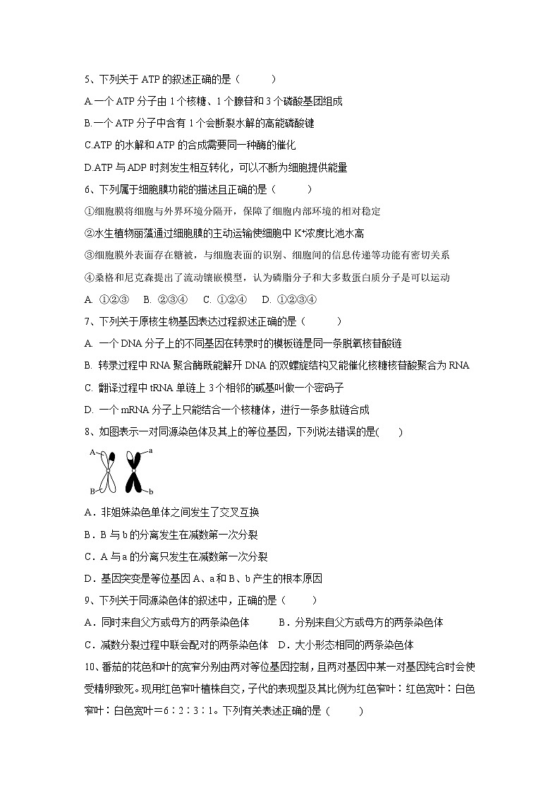 【生物】湖南省邵东县第一中学2019-2020学年高二下学期第三次月考试题第2页
