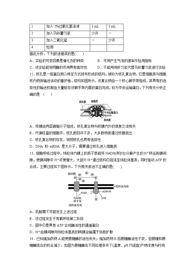 【生物】山东省济宁市育才中学2019-2020学年高二4月线上模块考试试题03