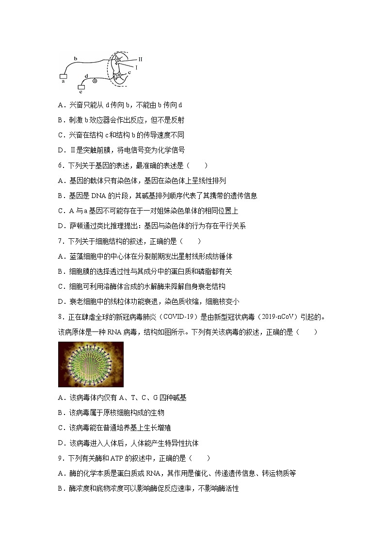 【生物】云南省曲靖市宣威市民族中学2019-2020学年高二下学期第一次月考试题(解析版)02