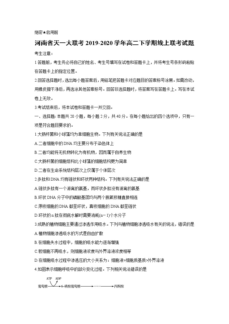 【生物】河南省天一大联考2019-2020学年高二下学期线上联考试题01