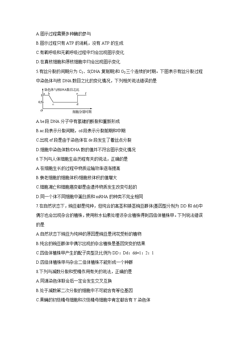 【生物】河南省天一大联考2019-2020学年高二下学期线上联考试题02