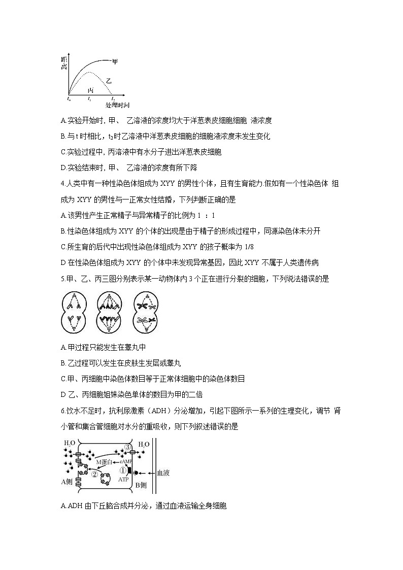 【生物】湖北省孝感市重点高中协作体2019-2020学年高二下学期联考试题02