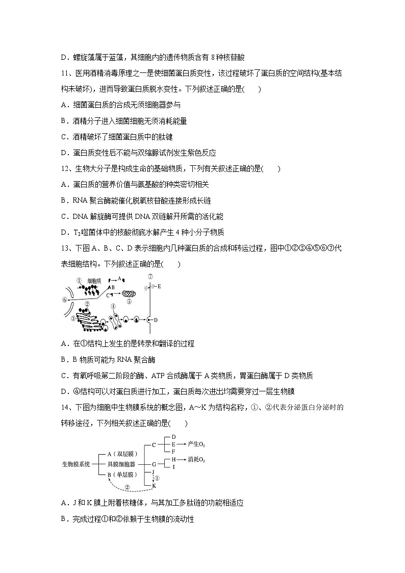 【生物】山东省潍坊市2019-2020学年高二下学期期中考试试题03