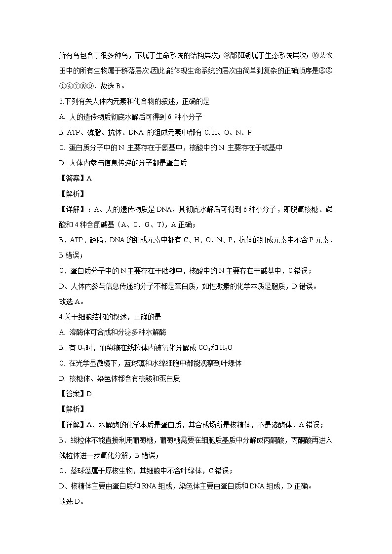 【生物】宁夏石嘴山市三中2019-2020学年高二上学期第二次(12月)月考试题(解析版)02