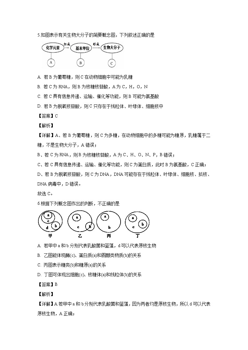 【生物】宁夏石嘴山市三中2019-2020学年高二上学期第二次(12月)月考试题(解析版)03