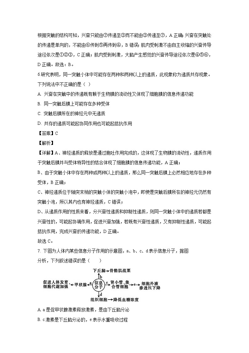 【生物】重庆市七校联盟2019-2020学年高二上学期期中考试试题(解析版)03