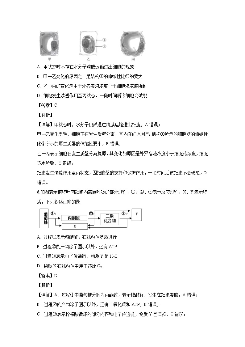 【生物】浙江省温州市环大罗山联盟2019-2020学年高二上学期期中考试试题（解析版）03