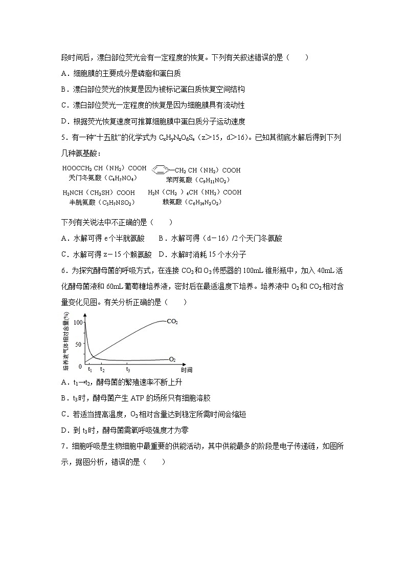 【生物】湖南省衡阳第八中学2019-2020学年高二下学期期中考试02
