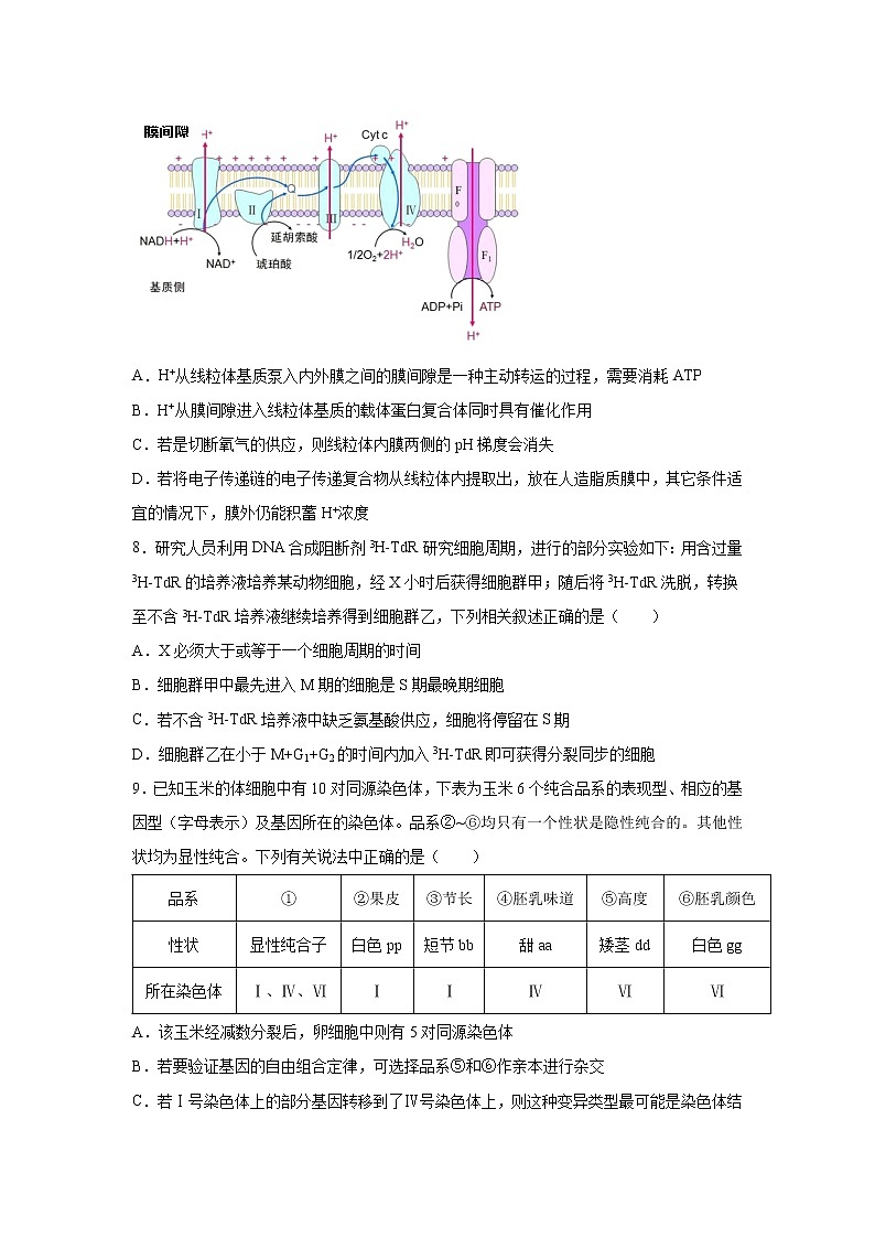 【生物】湖南省衡阳第八中学2019-2020学年高二下学期期中考试03