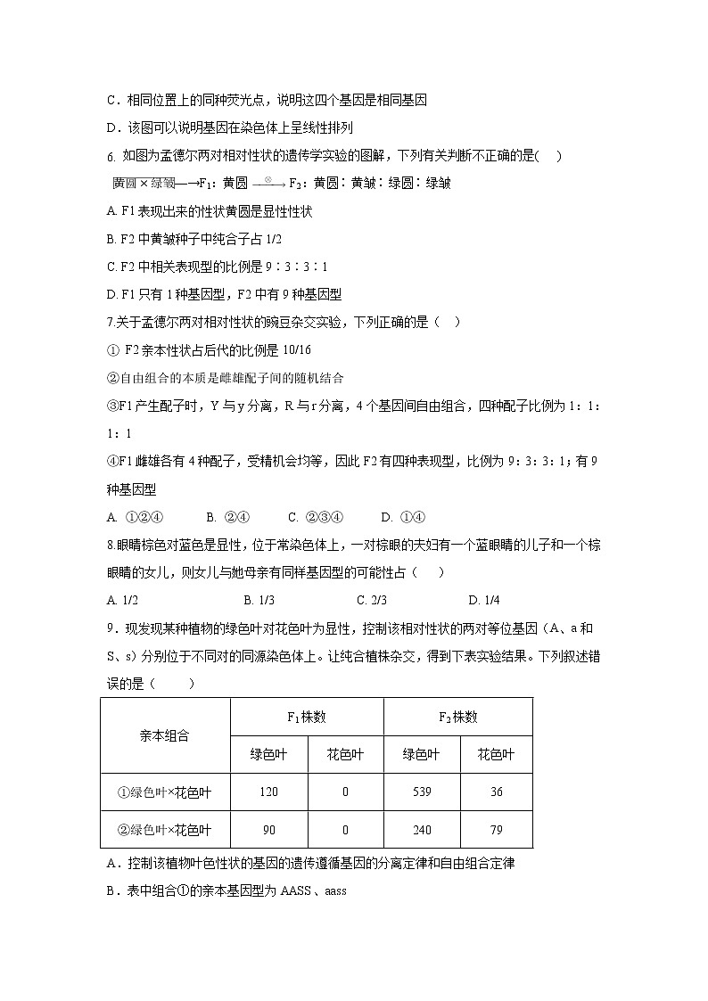 【生物】宁夏石嘴山市第三中学2019-2020学年高二下学期期中考试试题02