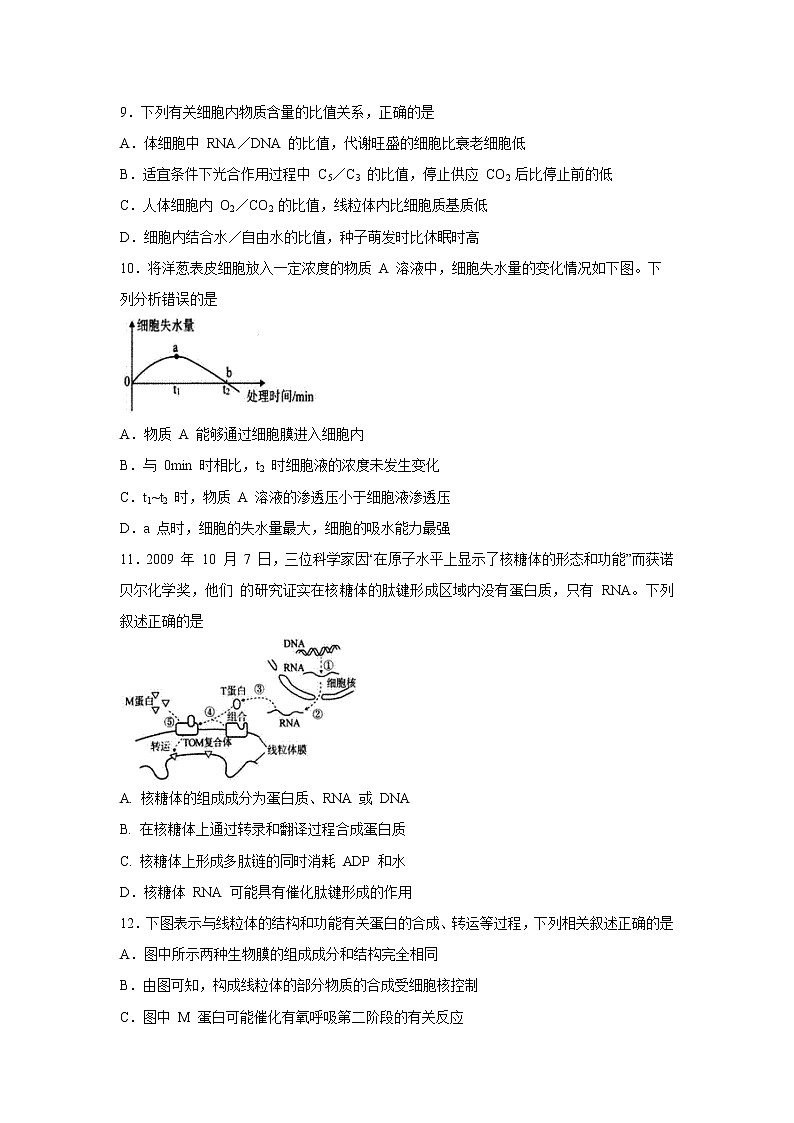 【生物】山东省东营市一中2019-2020学年高二下学期期中考试试题03