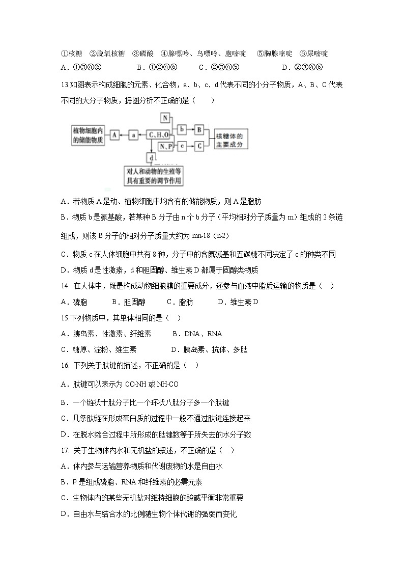 【生物】山东省济宁市第一中学2019-2020学年高二下学期期中考试试题03