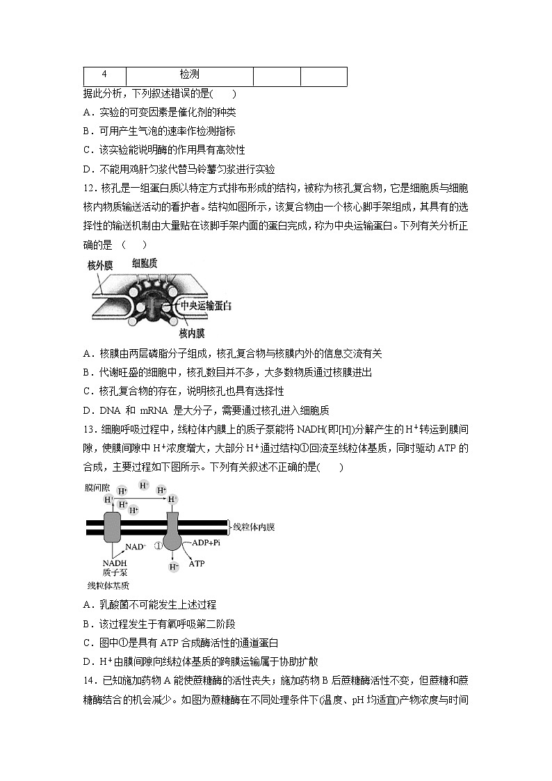 【生物】山东省济宁市曲阜市第一中学2019-2020学年高二下学期期中线上考试试卷03