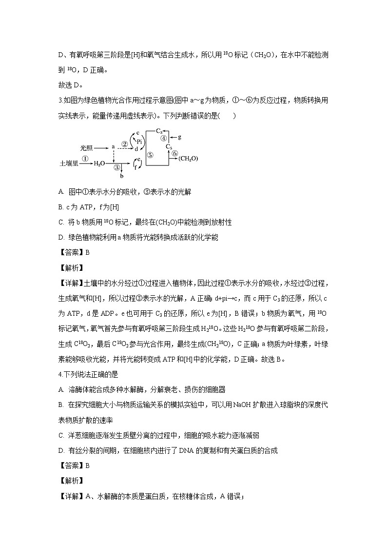 【生物】河北省唐山市一中2019-2020学年高二上学期期中考试试题(解析版)第2页
