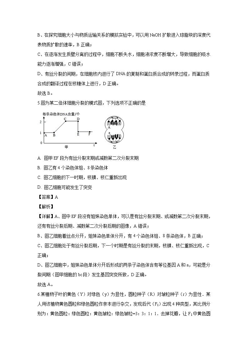 【生物】河北省唐山市一中2019-2020学年高二上学期期中考试试题(解析版)第3页