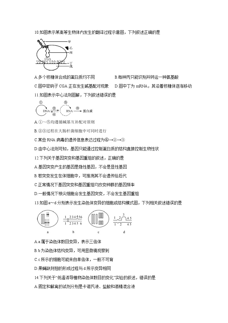 【生物】安徽省界首市2019-2020学年高二上学期期末考试试卷（解析版）03