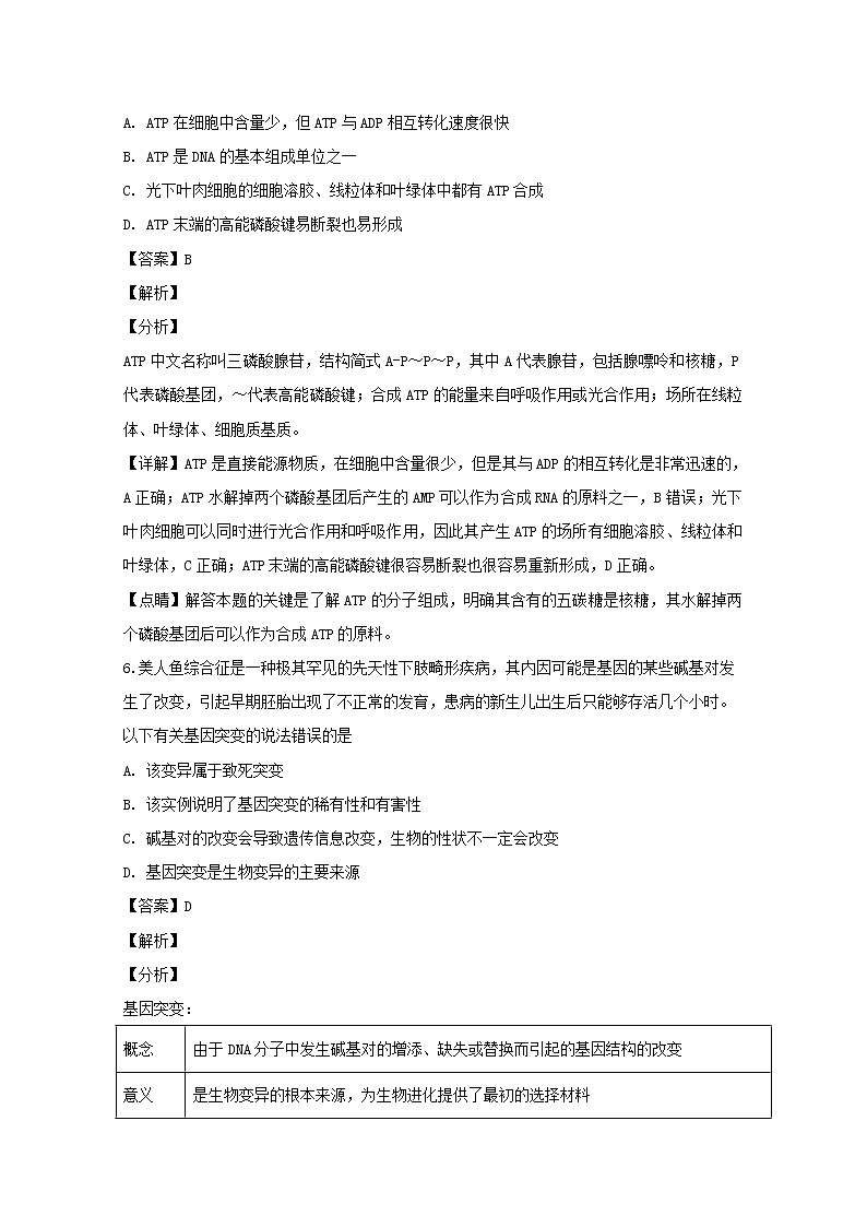 2018-2019学年浙江省“温州十校联合体”高二上学期期末考试生物试题 解析版第3页
