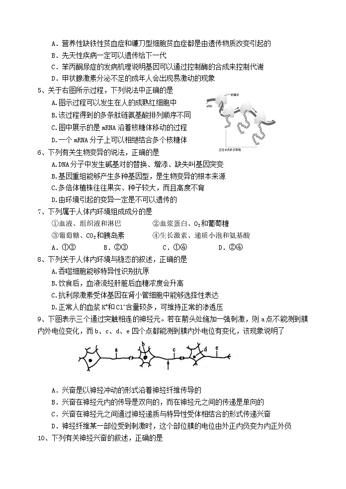 2019-2020学年云南省玉溪一中高二上学期期末考试生物试题 word版02