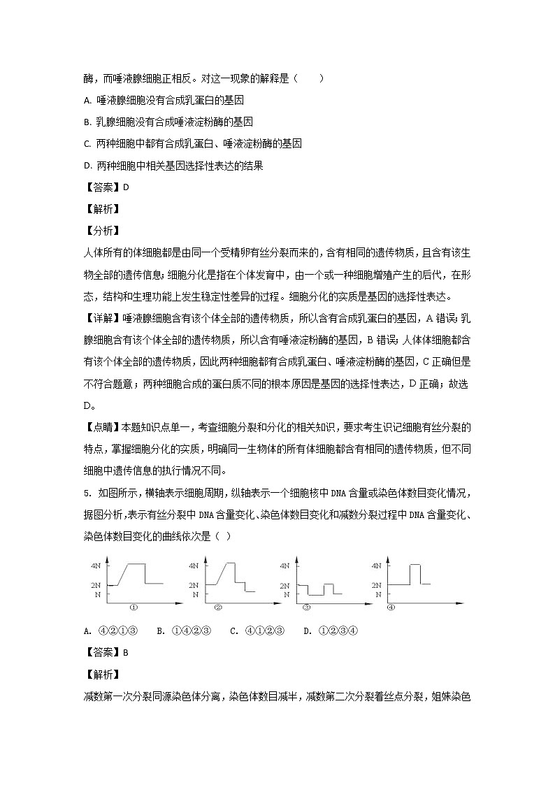 2018-2019学年宁夏银川一中高二上学期期末考试生物试题 解析版第2页