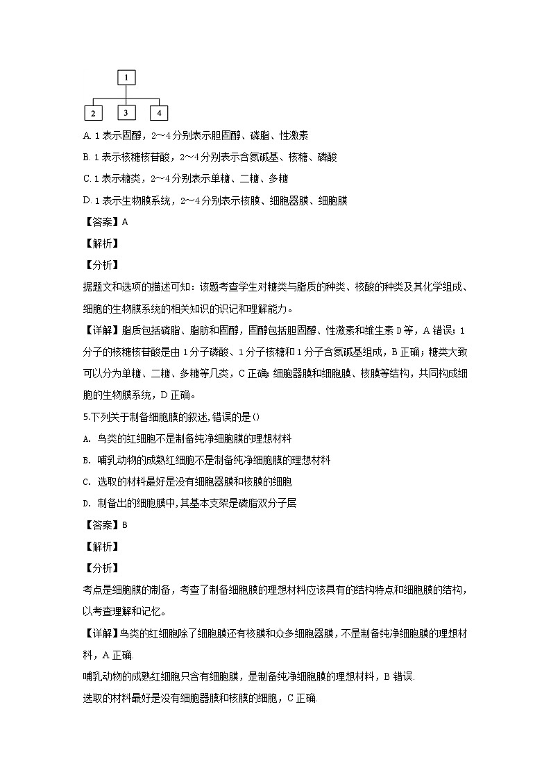 2018-2019学年云南省玉溪一中高二上学期期末考试生物试题 解析版03