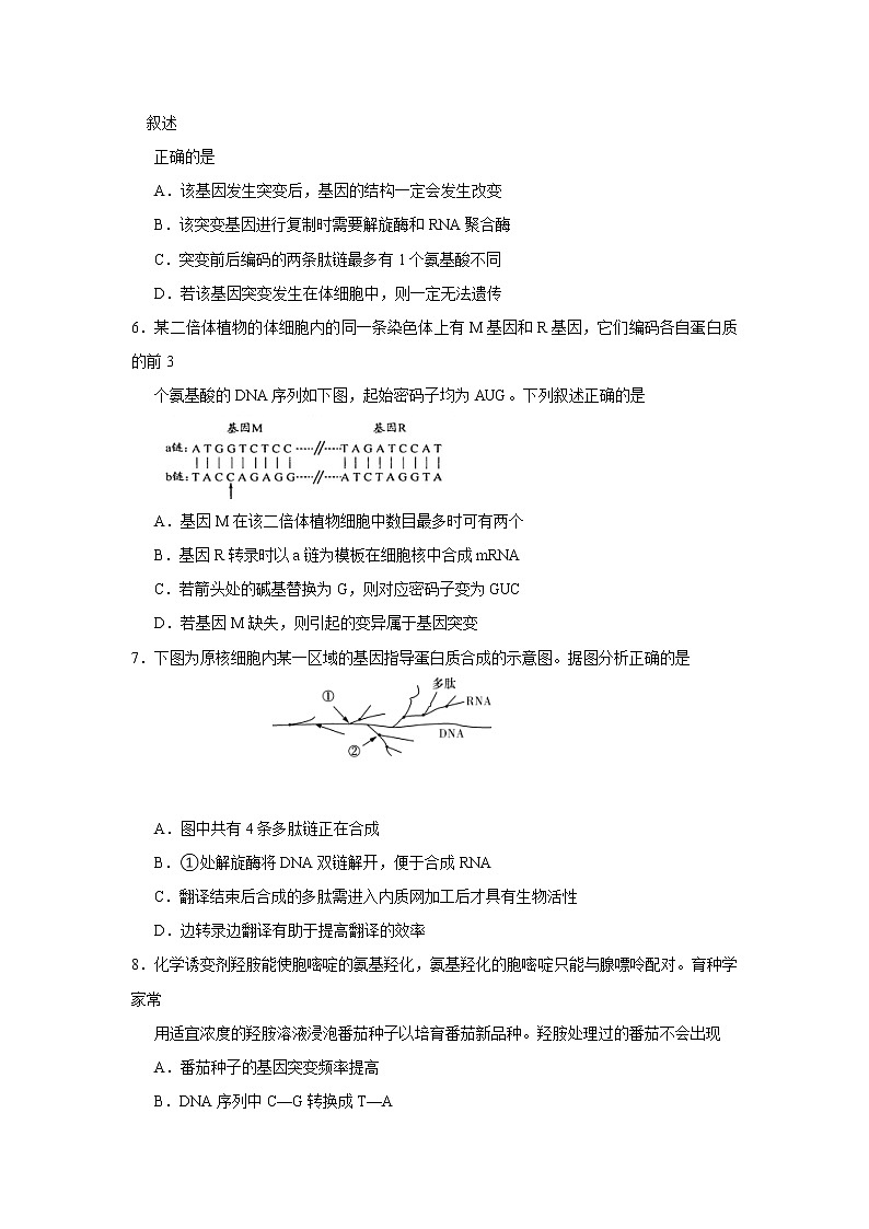 2018-2019学年湖北省华中师范大学第一附属中学高二上学期期末考试生物试题 Word版第2页