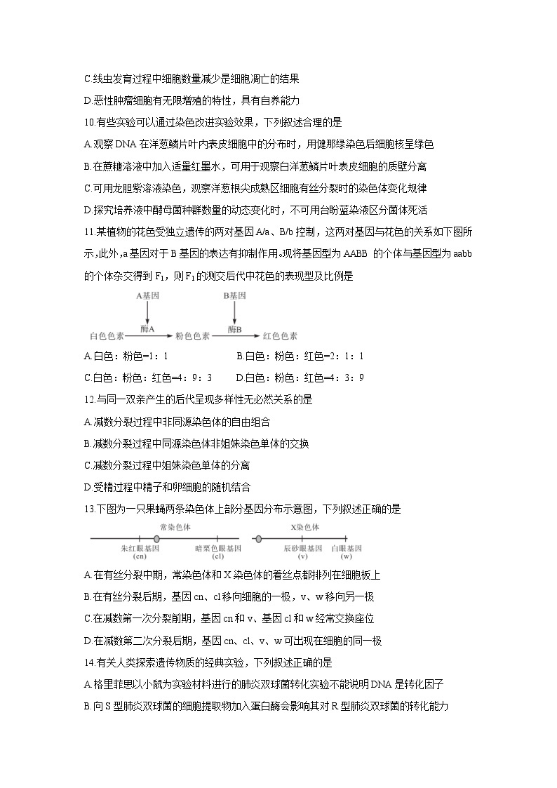 【生物】安徽省示范高中培优联盟2020年高二春季联赛试题03