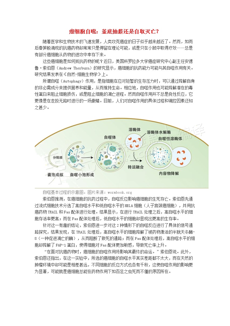 高中生物生命奥秘癌细胞自噬：釜底抽薪还是自取灭亡？素材 试卷