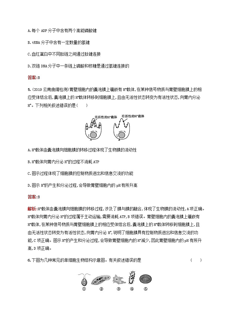 广西专用2020高考生物二轮复习选择题考前抢分训练1细胞的分子组成和结构含解析02