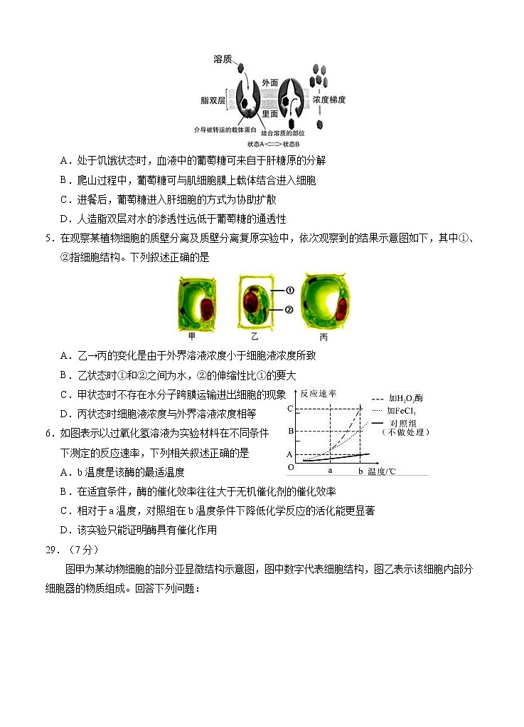 宁夏回族自治区银川一中2021届高三上学期第一次月考 理综生物(word版含答案) 试卷02